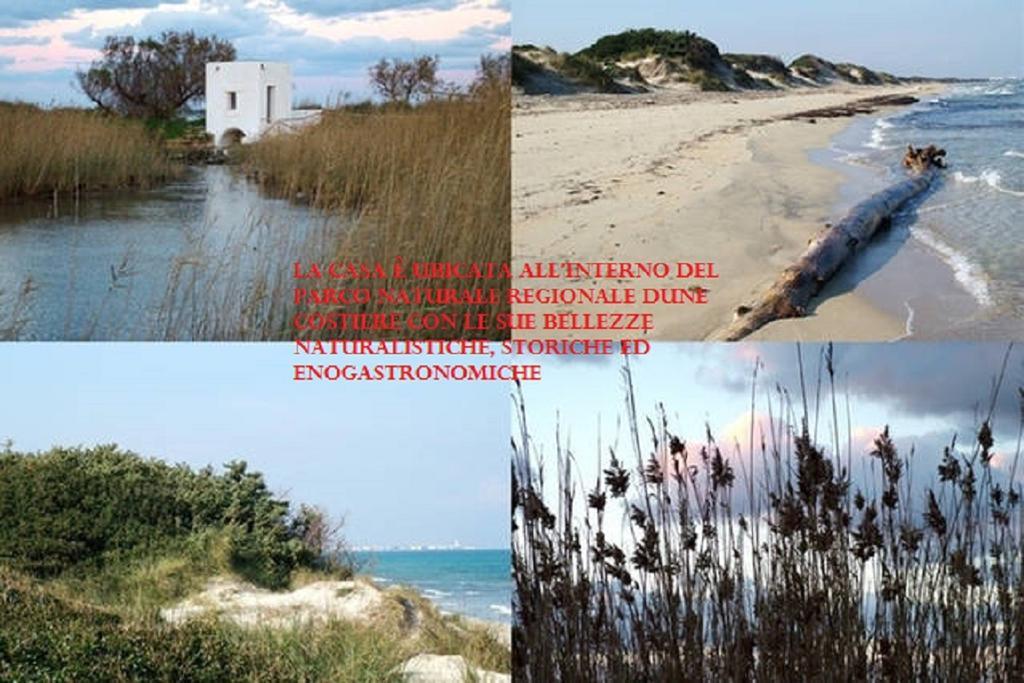Blue Sea Apartment ตอร์เรกันเน ภายนอก รูปภาพ